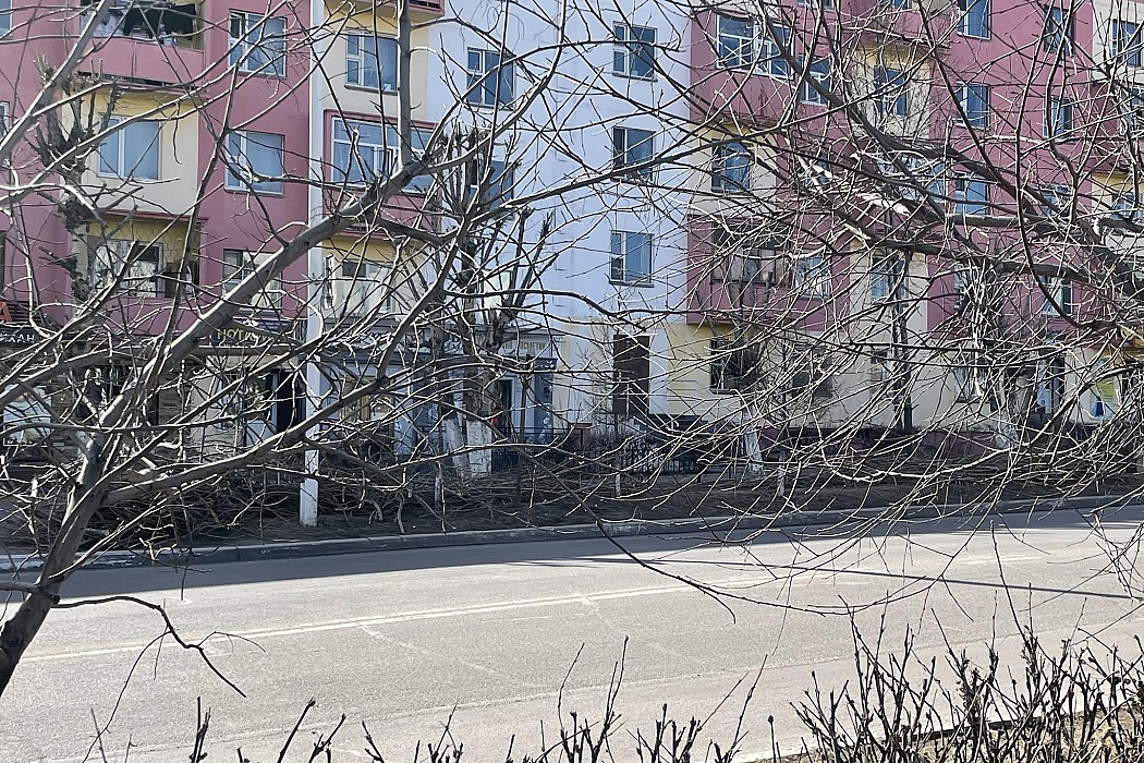 Мод, бут, сөөгийг засах, танаж тайрах ажил эхэллээ