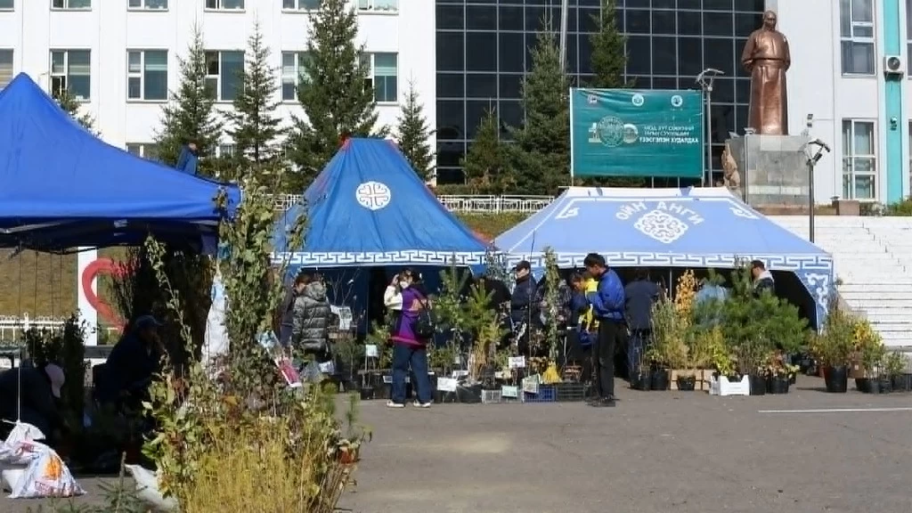 Мод, бут, сөөгний тарьц суулгацын үзэсгэлэн худалдаа А. Амарын талбайд болж байна